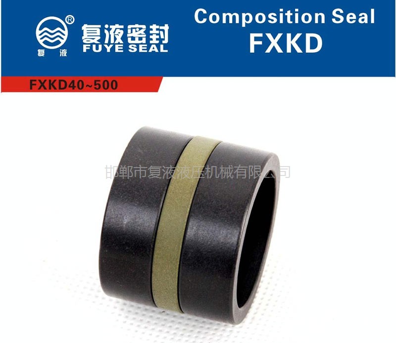FXKD孔用组合密封